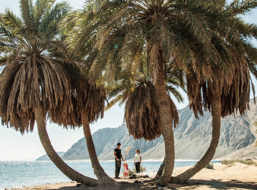 Family under the palms